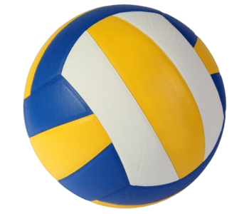 Volleybälle